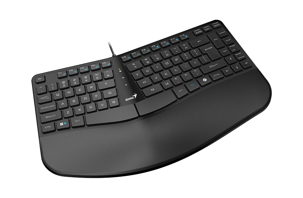 TECLADO USB ERGO KB-700 GENIUS
31310053401 - TECLADO09513