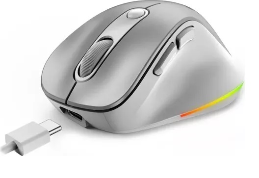 MOUSE USB WIRELESS + BLUETOOTH SILENT MINI ERGO 9000S PRO SILVER GENIUS     N31030039402 - MOUSE09640
