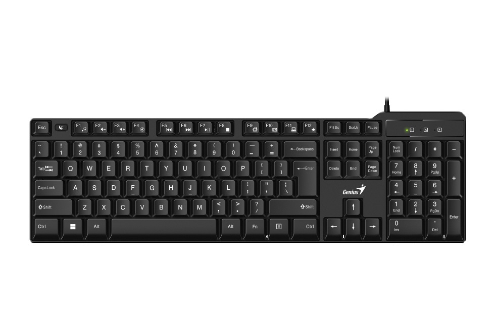 TECLADO USB KB-100X  GENIUS 
31310049401 - TECLADO09642