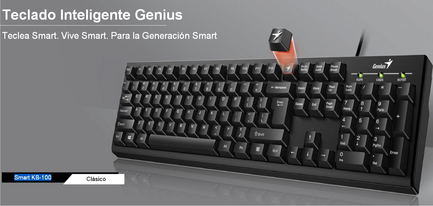 TECLADO USB KB-100 SMART GENIUS 31300005401 - TECLADO07312