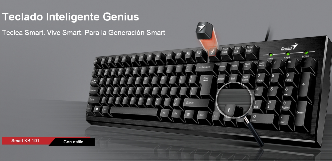 TECLADO USB KB-101 SMART GENIUS - TECLADO07313