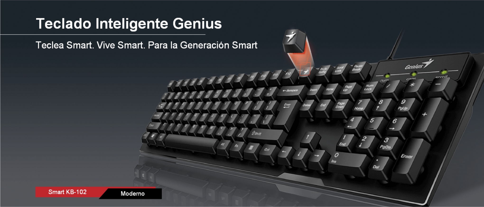TECLADO USB KB-102 SMART GENIUS
31300007401 - TECLADO07431