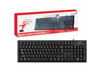 TECLADO USB MULTIMEDIA SLIMSTAR 126 SMART GENIUS
31310017401 - TECLADO08190